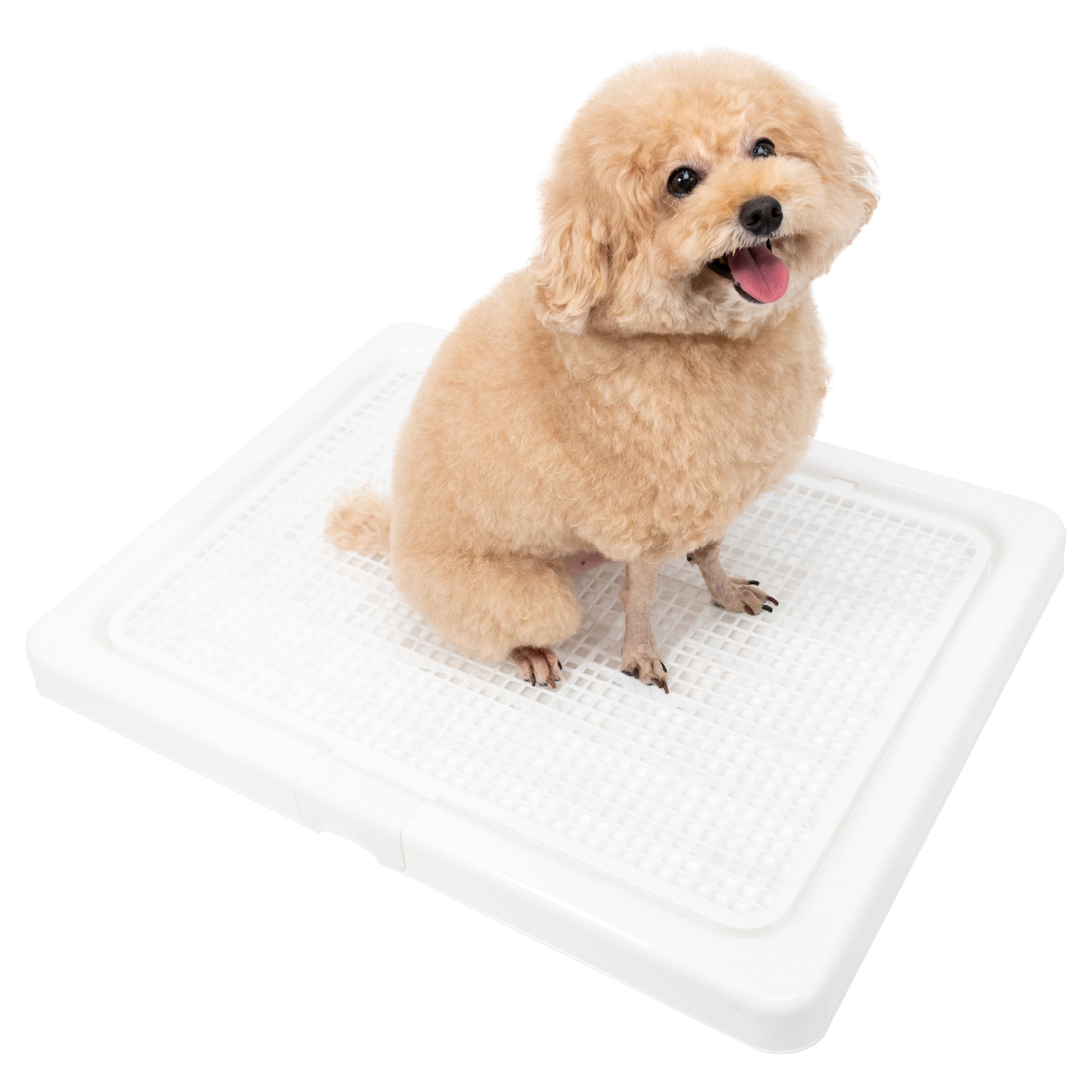 Amazon | INULABO(イヌラボ) 犬 トイレ トレー 高床式 小型犬 中型犬 M